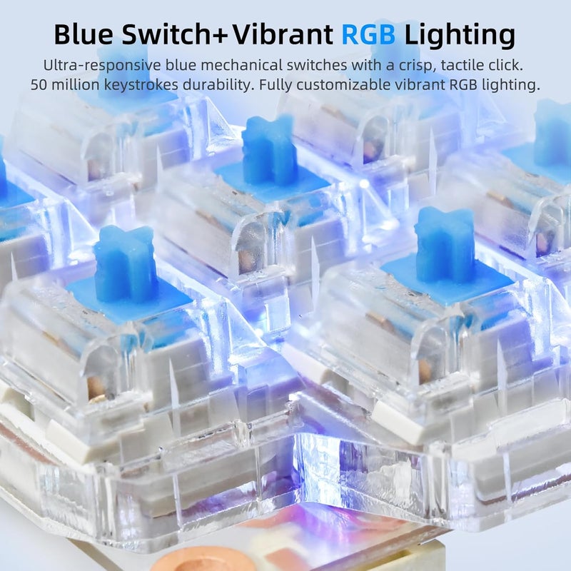 BigTreeTech HBB Fe Hot-Key Button Board Quick Control Keyboard with Preset Keys and RGB Lighting for Klipper Voron2.4/Trident/Switchwire 3D Printer Fit for BTT Pi 1/2 Manta M8P KNOMI, Transparent PCB - Image 3
